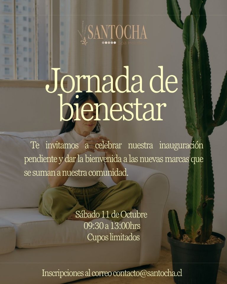jornada bienestar spa puerto varas